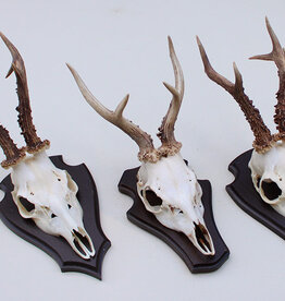 3 x groot REE GEWEI op houten schild -  set G