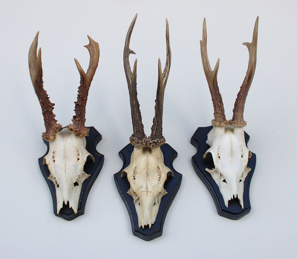 3 x  groot REE GEWEI op houten schild -  set C