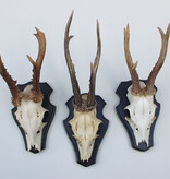 3 x  groot REE GEWEI op houten schild -  set C