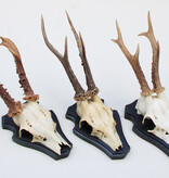 3 x  groot REE GEWEI op houten schild -  set C