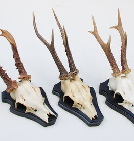 3 x groot REE GEWEI op houten schild -  set C