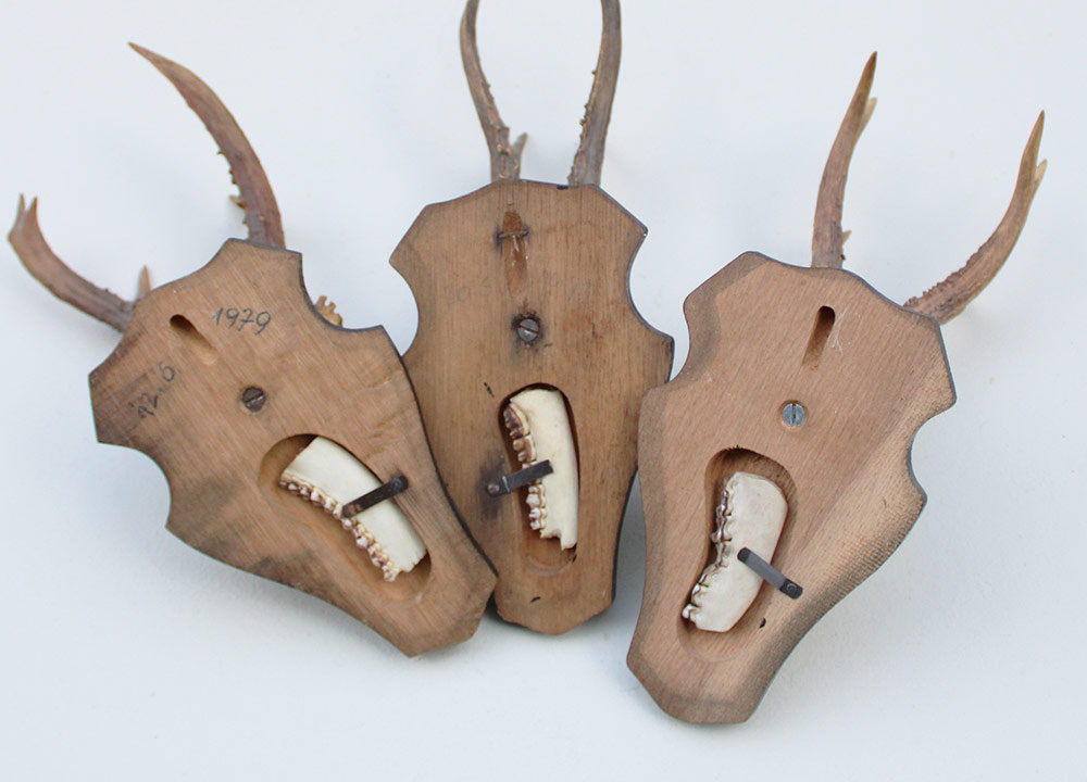 3 x  groot REE GEWEI op houten schild -  set C