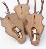 3 x ZESENDER REE GEWEI op houten schild  - met kaakdeeltjes