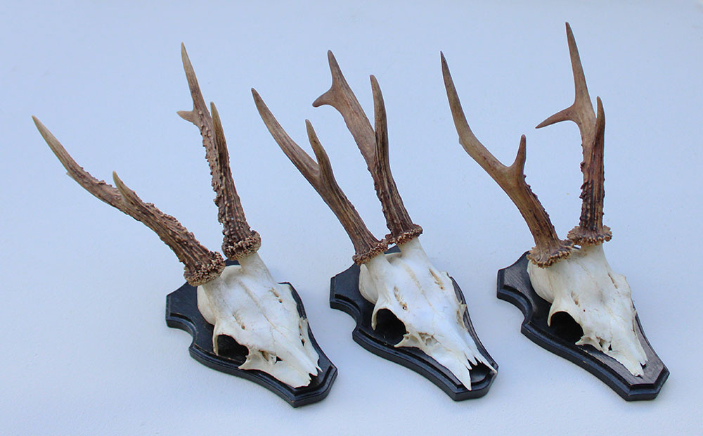 3 x zesender REE GEWEI op houten schild
