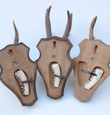 3 x zesender REE GEWEI op houten schild