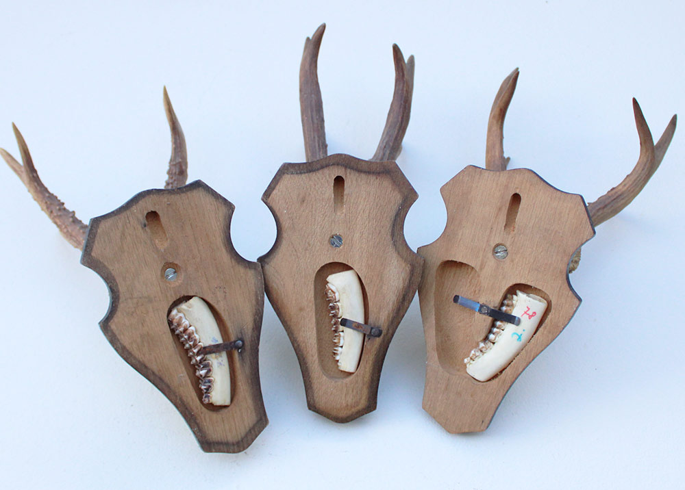 3 x zesender REE GEWEI op houten schild