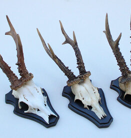 3 x zesender REE GEWEI op houten schild -  set H