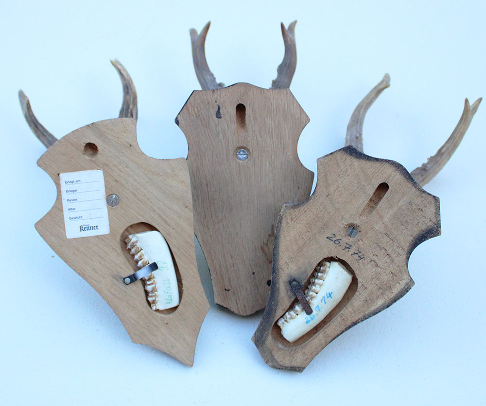3 x zesender REE GEWEI op houten schild