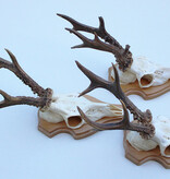 3 x zesender REE GEWEI op licht houten schild