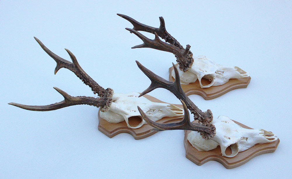 3 x zesender REE GEWEI op licht houten schild