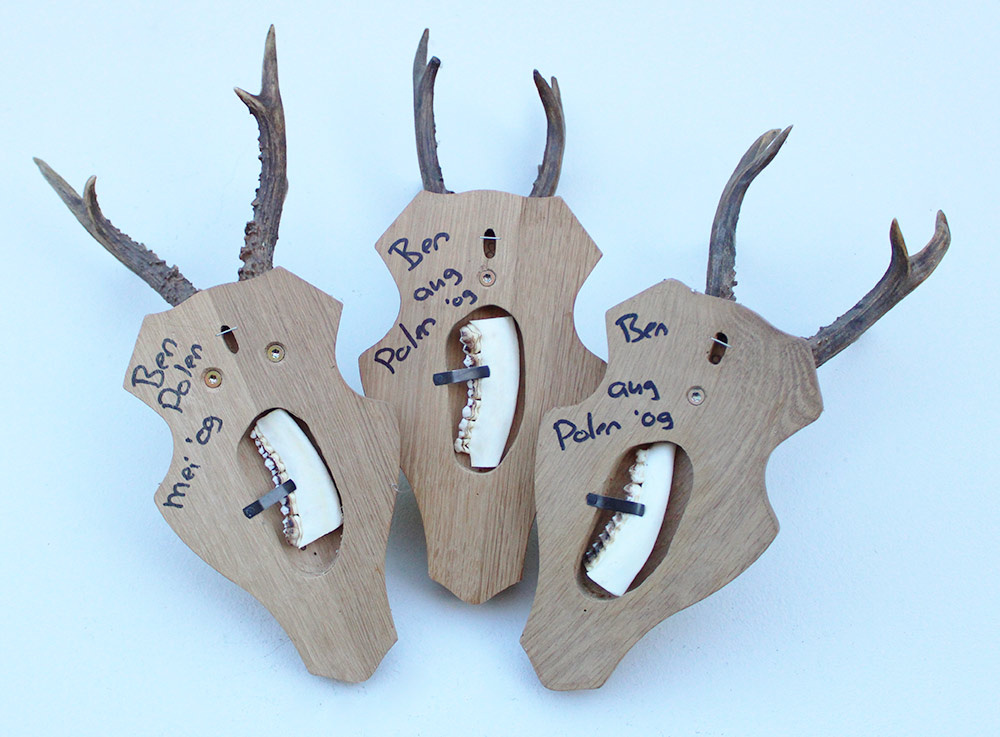 3 x zesender REE GEWEI op licht houten schild