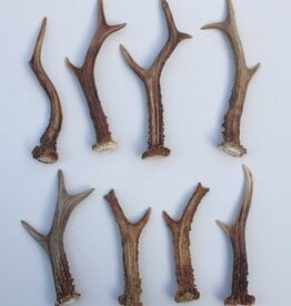 8 stangetjes REE GEWEI 14-19 cm - Ref. D