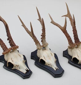 3 x groot zesender REE GEWEI op houten schild -  set Y