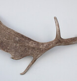 DAMHERT GEWEI AFWERP STANG - ± 1,45 kg - 73 cm