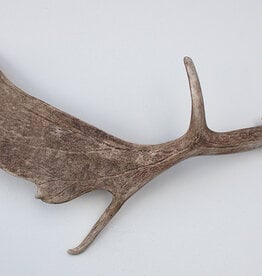 DAMHERT GEWEI AFWERP STANG - ± 1,45 kg - 73 cm  - ref.  E