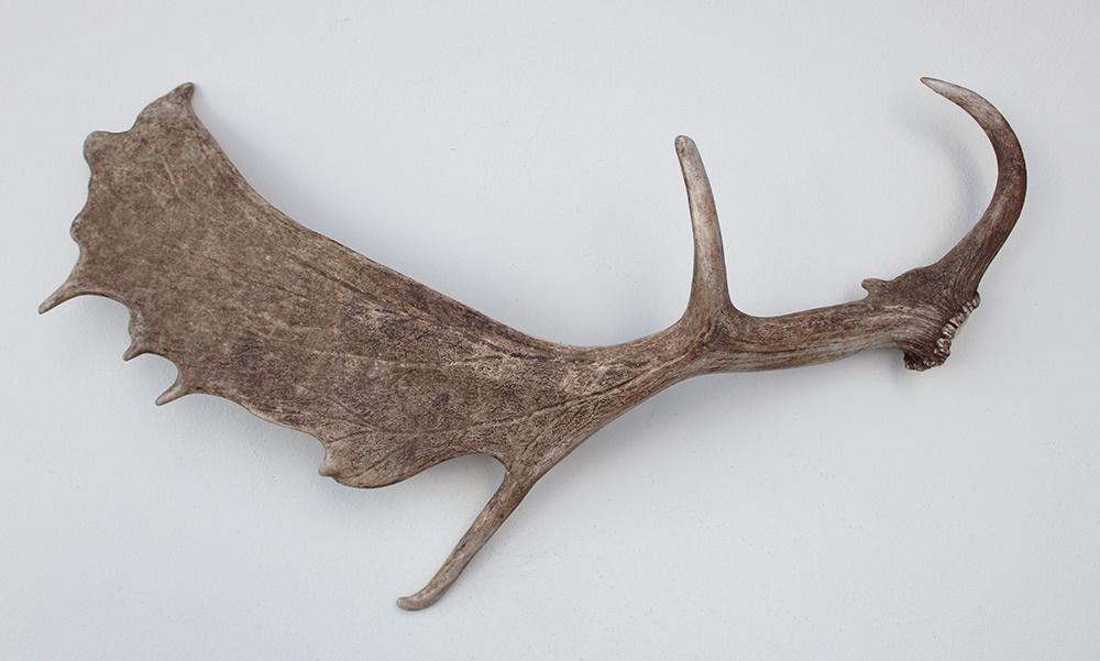 DAMHERT GEWEI AFWERP STANG - ± 1,45 kg - 73 cm