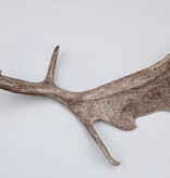 DAMHERT GEWEI AFWERP STANG - ± 1,45 kg - 73 cm