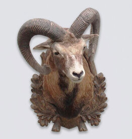Decoratieve opgezette KOP MOEFLON RAM - ref. B