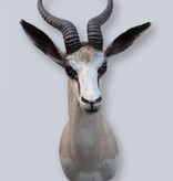 Decoratieve opgezette KOP SPRINGBOK ANTILOPE