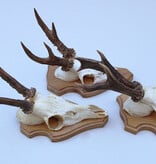 3 x  REE GEWEI op licht houten schild