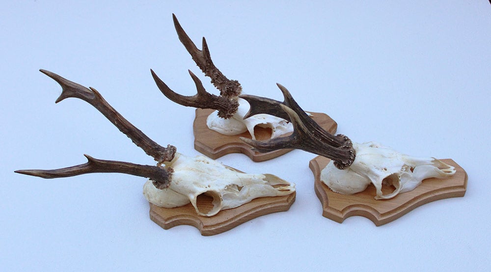 3 x  REE GEWEI op licht houten schild
