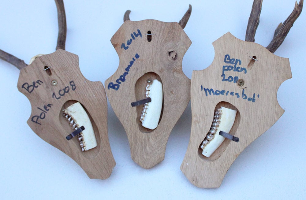 3 x  REE GEWEI op licht houten schild
