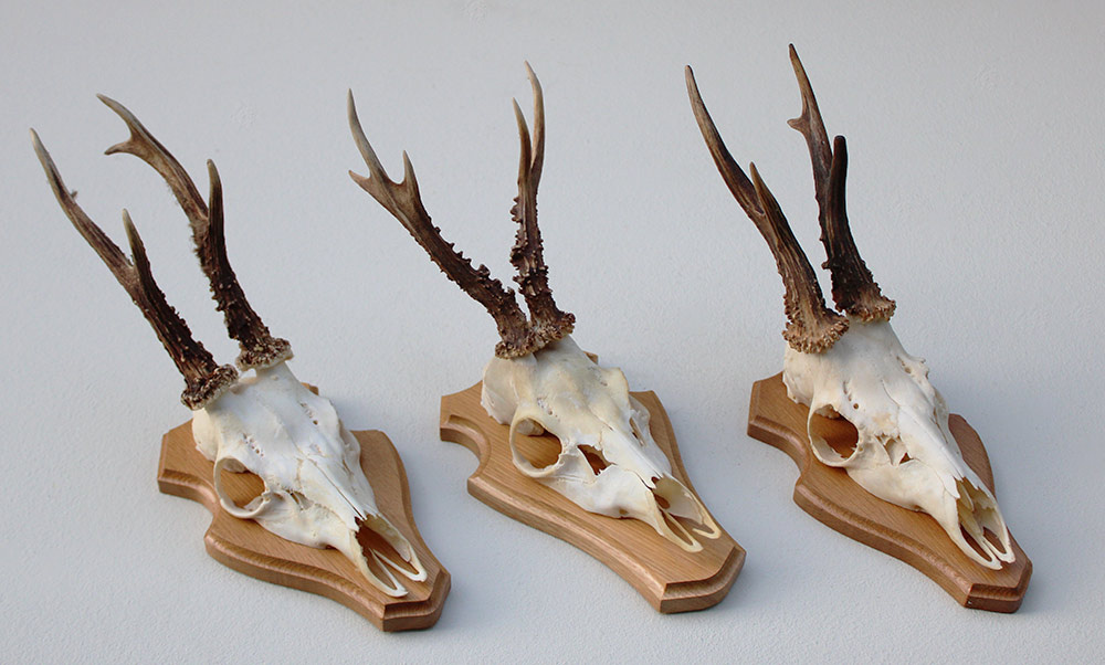 3 x  REE GEWEI op licht houten schild
