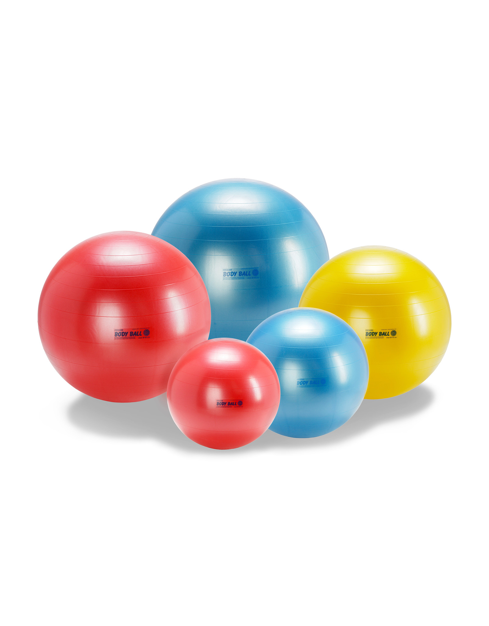 Gymnic Body Ball 55 BRQ / R