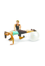 Gymnic Fit-Ball 55 BRQ / WT