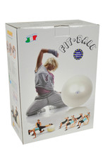 Gymnic Fit-Ball 55 BRQ / WT