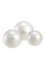 Gymnic Fit-Ball 65 BRQ / WT