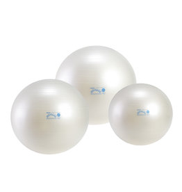 Gymnic Fit-Ball 65 BRQ / WT