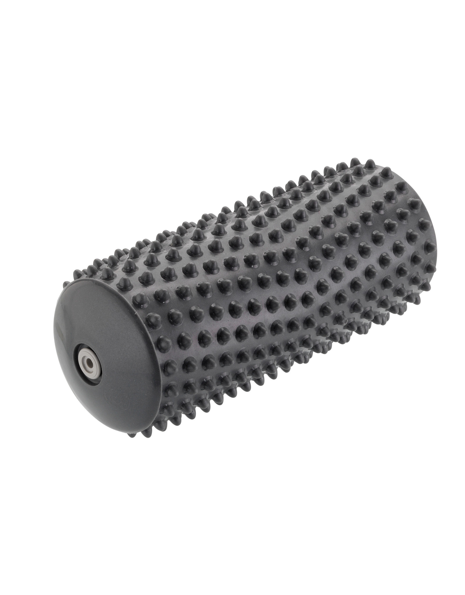 Gymnic Activ Roll / GY