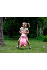 Gymnic Rody Magical Unicorn / WT