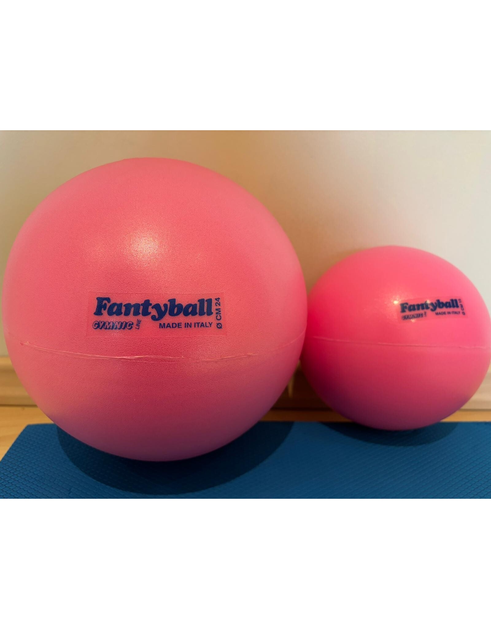 Gymnic Fanty Ball
