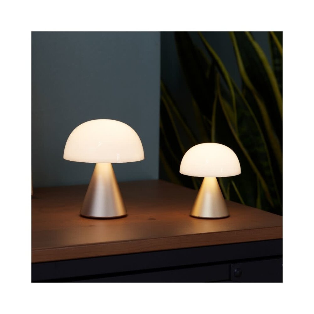 Lampe LED pour photo - Phare de luxe minimaliste - Ligne dorée