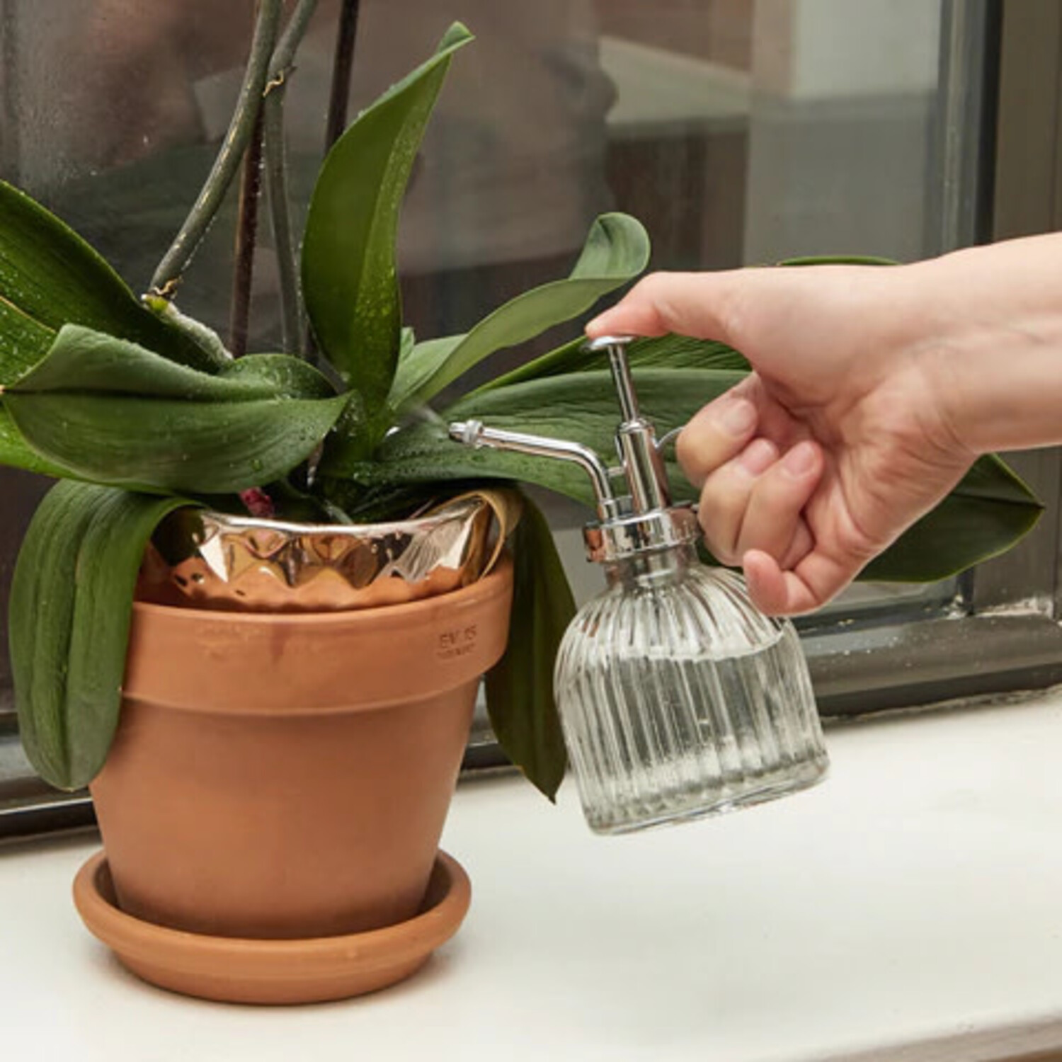 KIKKERLAND Brumisateur pour Plantes en Verres