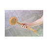 cookut Brosse Exfoliante avec Tête Détachable cookut Brosse Exfoliante avec Tête Détachable