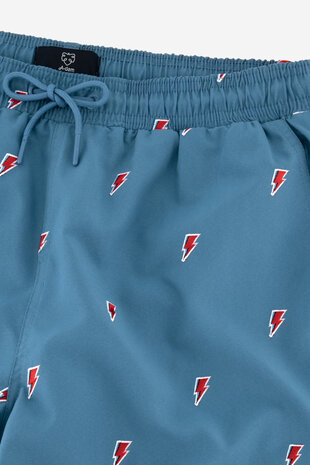 Trinity collective shop board shorts