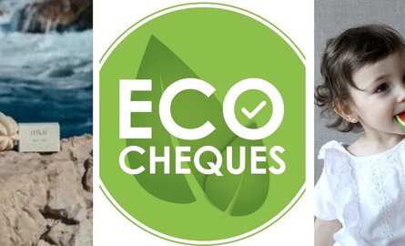 I've got eco-cheques, but which products can I use them for?