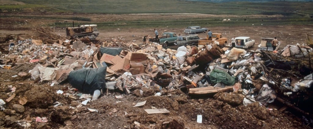 Désastre environnemental