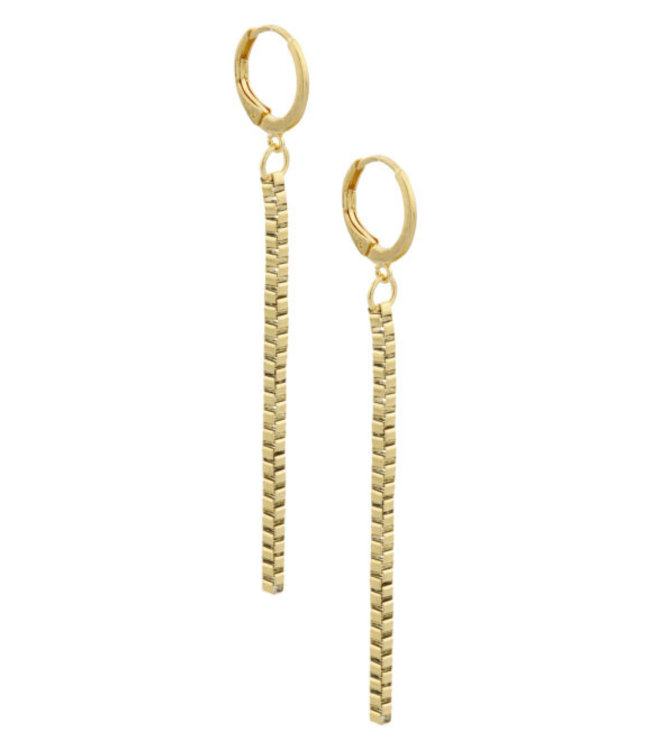 Oorringetjes met lange hanger (7cm)