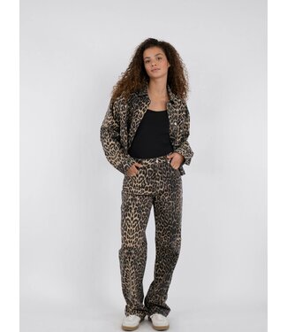 Neo Noir Simona Leopard Pants - Neo Noir