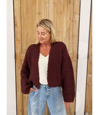 Coatigan Hand knit - aubergine