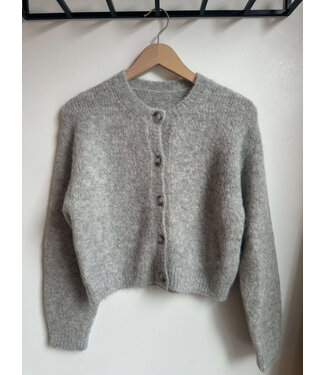 Club l'avenir Jun'CL - soft grey