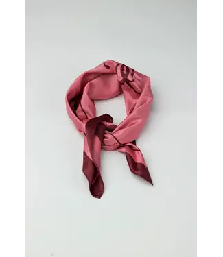 Bow19 Details Elle Silk Scarf - Pink