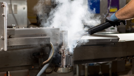 Dry Steam Cleaners