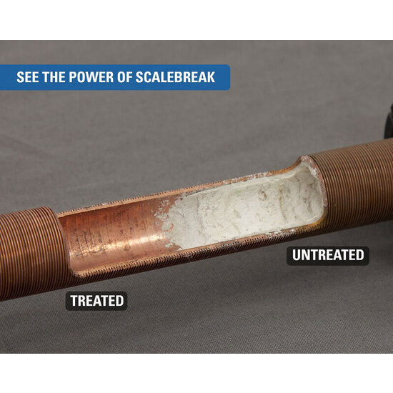 Goodway Scalebreak-MP Descaler 1000L