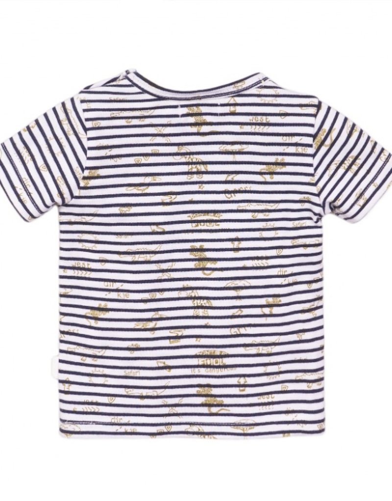 Dirkje T-shirt Navy stripe