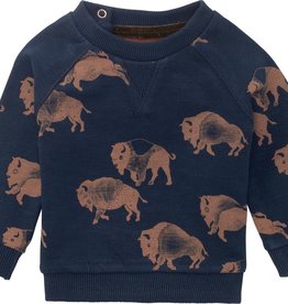 Noppies Kids Sweater Roanoke